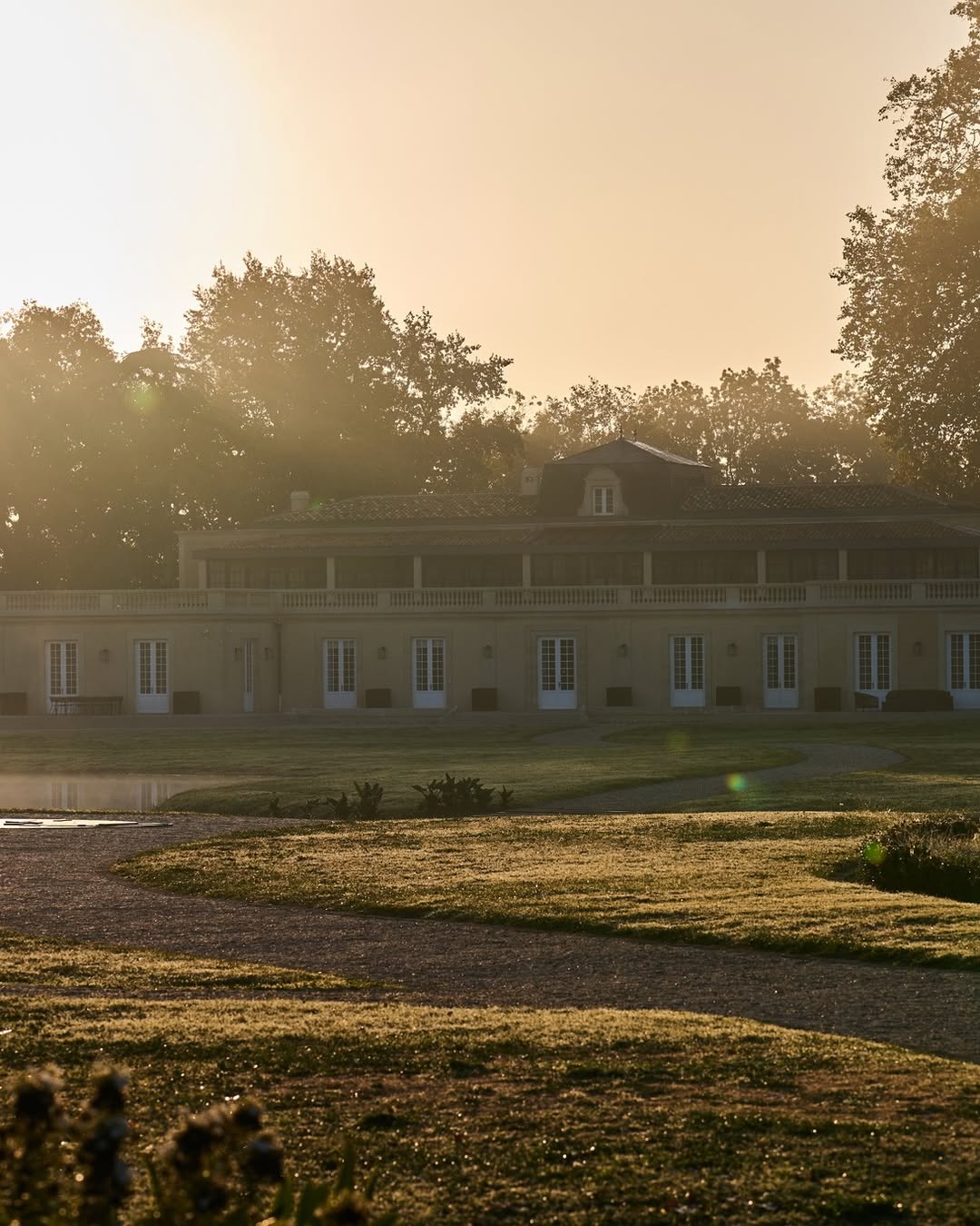 Château Dauzac al amanecer entre la niebla de Margaux