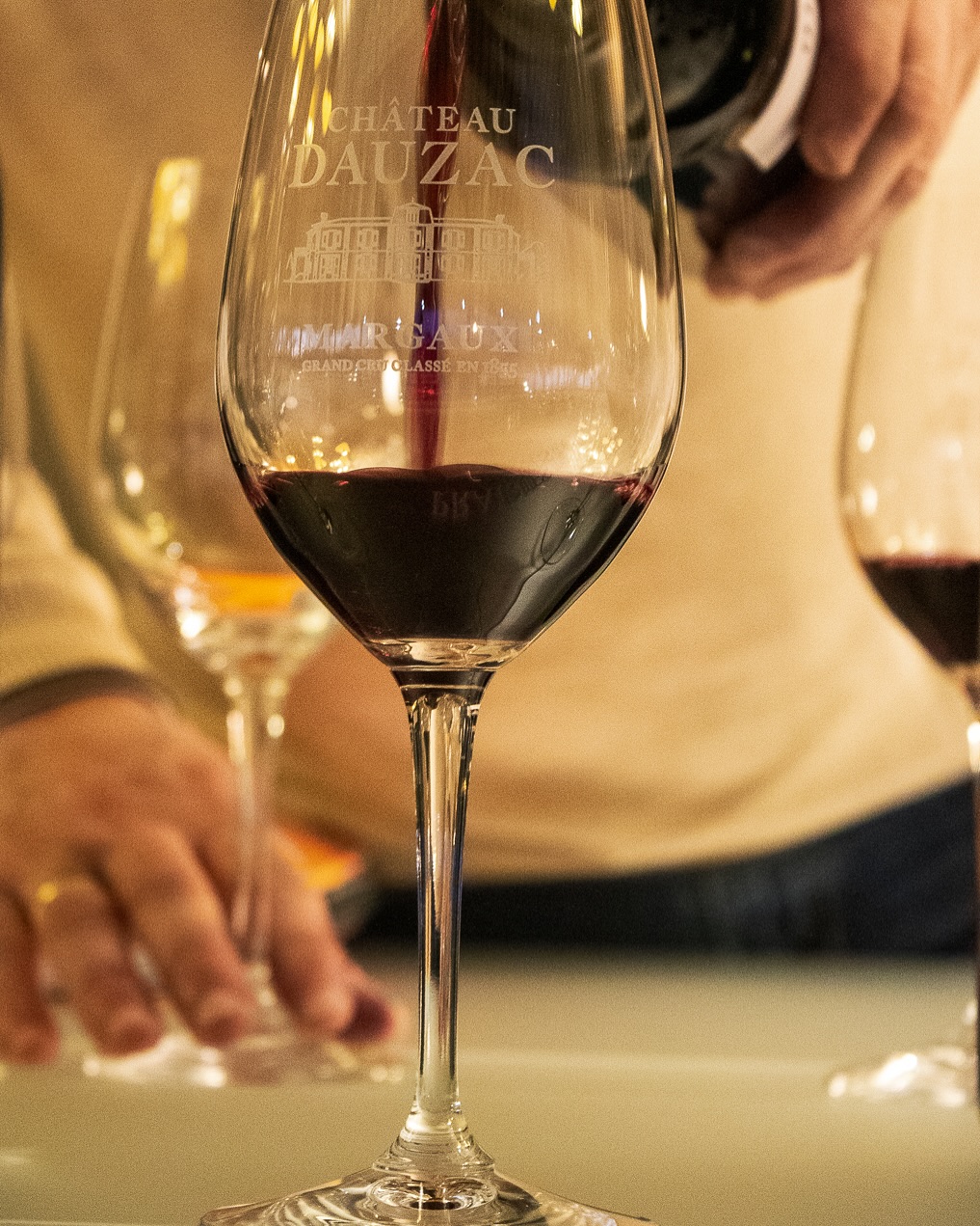Cata guiada con copa de vino tinto
